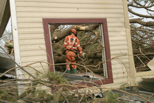 Best Tree Preservation Services  in Silsbee, TX